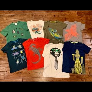 Boys Size 12 ts bundle: Land’s End, tea, Hannah A